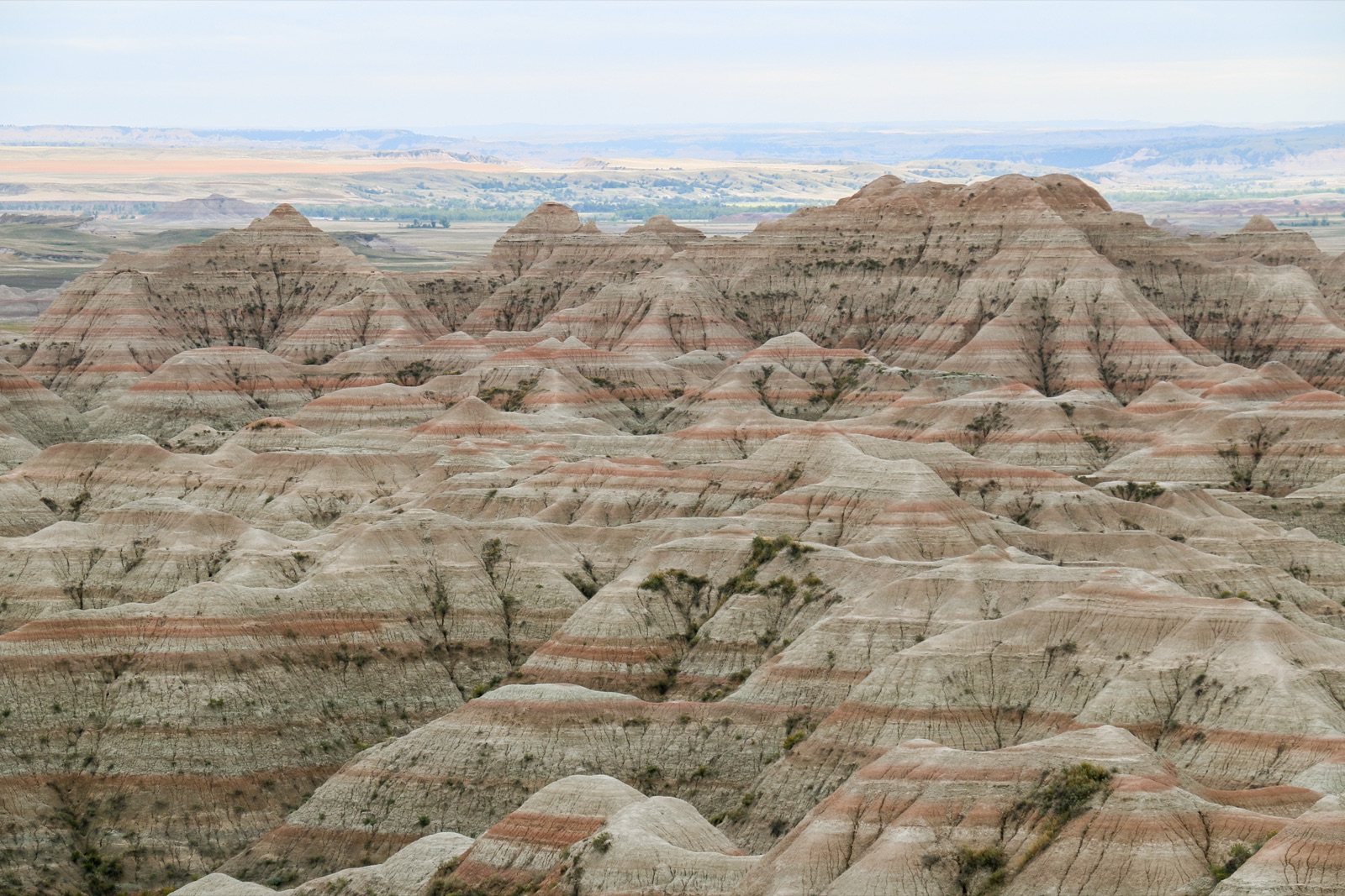 Badlands eroded ridges at sunset