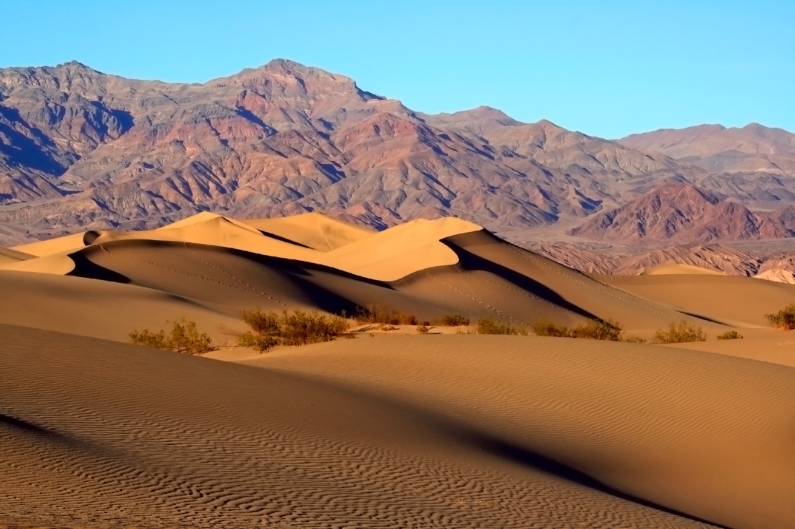 Mesquite Flat Sand Dunes at sunrise, Death Valley