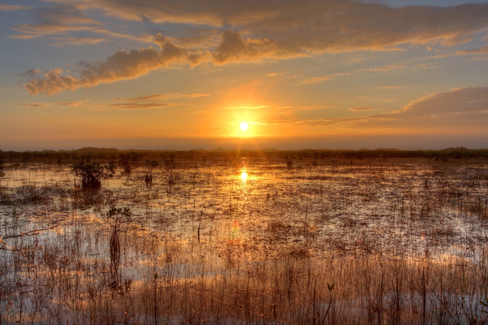 Sunset over the River of Grass, Everglades