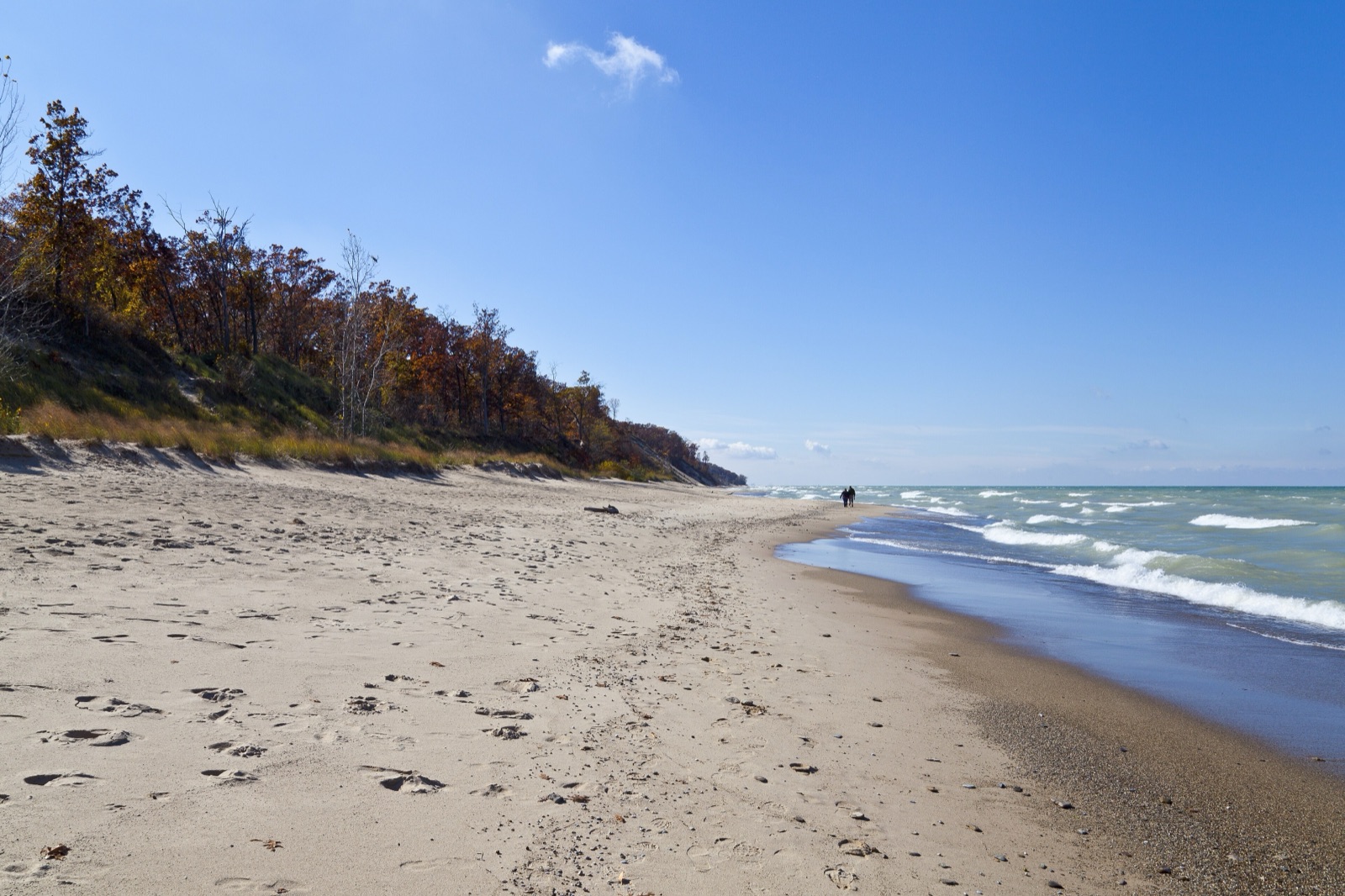 Lake Michigan shoreline at Indiana Dunes