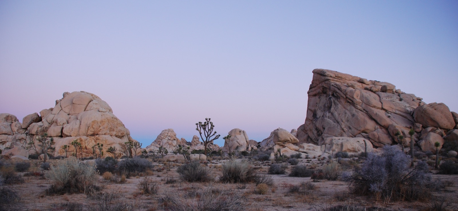 Sunrise at Cyclops & Potato Head rocks, Joshua Tree
