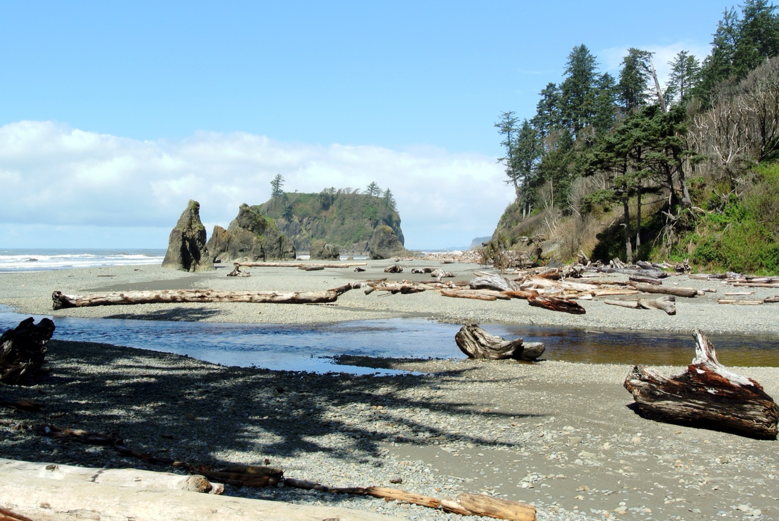 Cedar Creek and Abbey Island at Ruby Beach, Olympic National Park