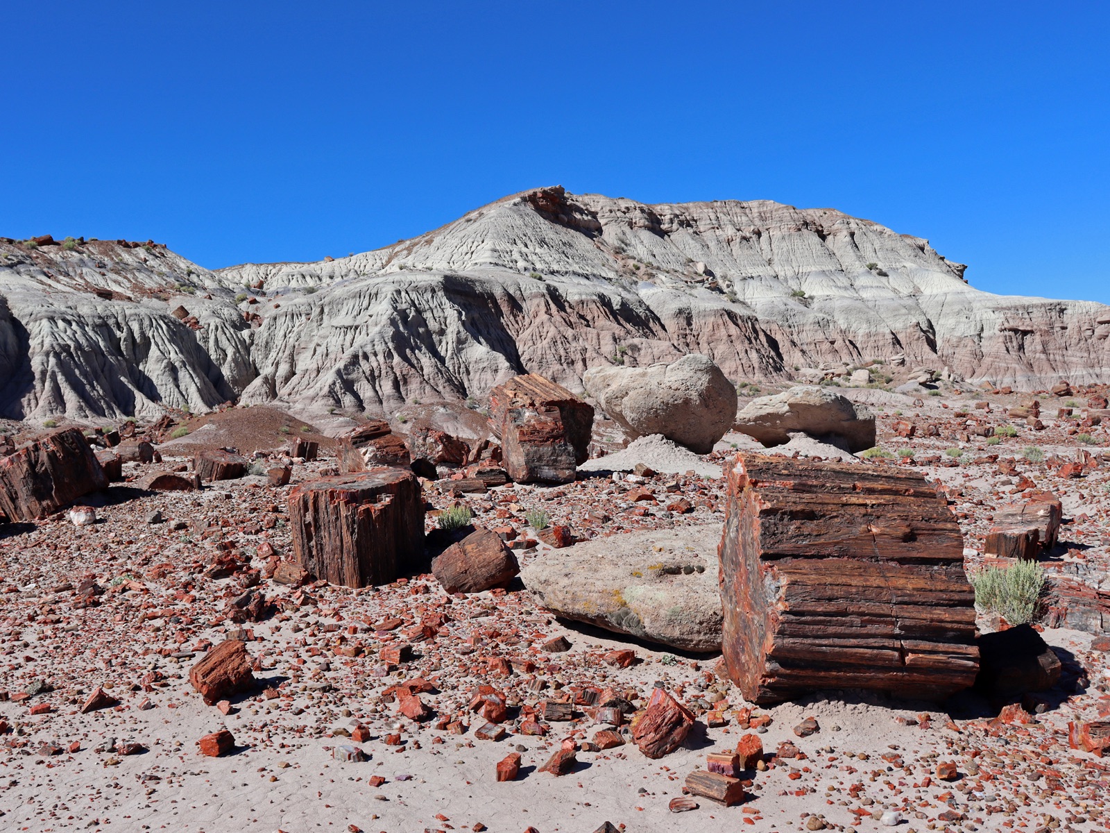 Jasper Forest, Petrified Forest National Park