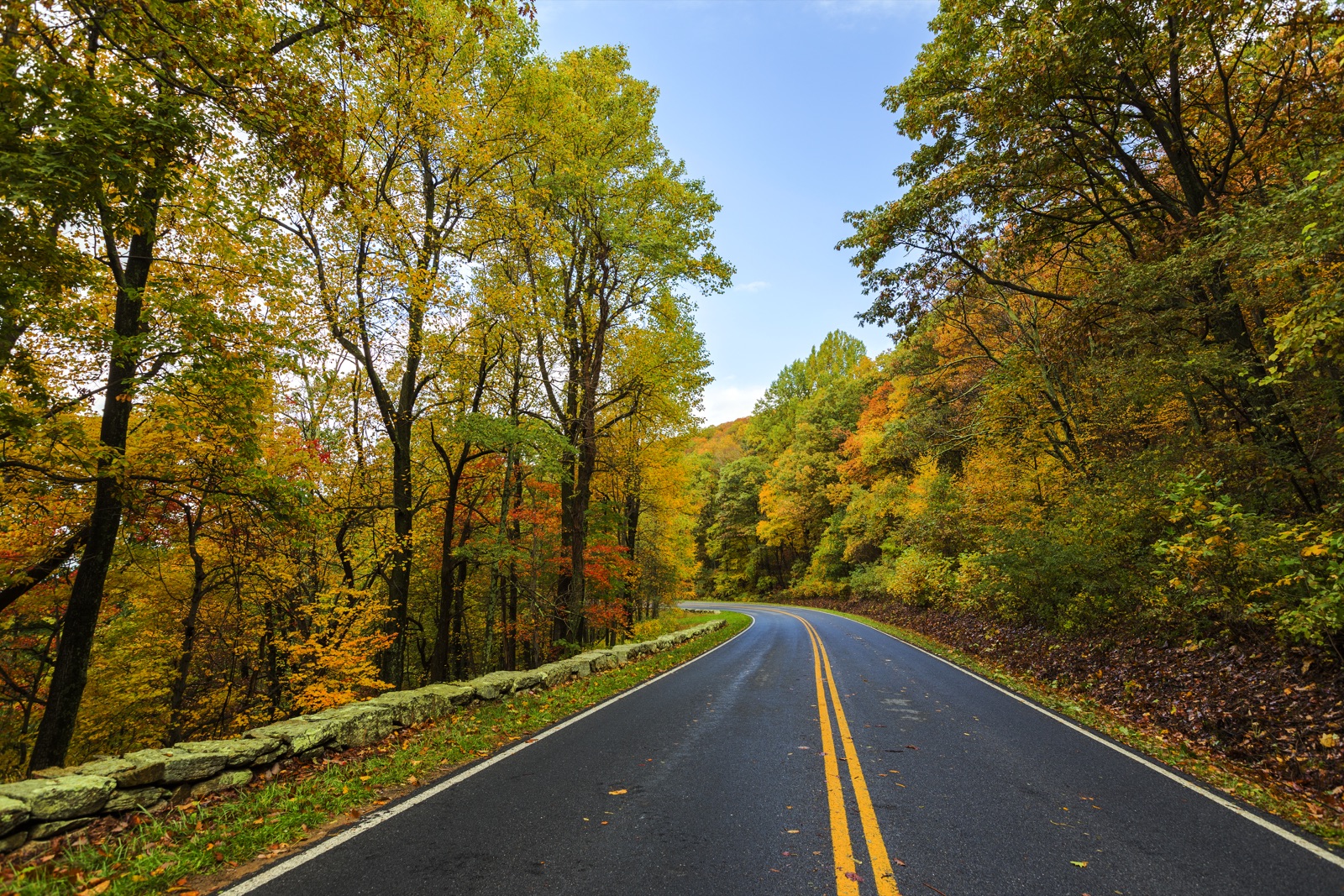 Skyline Drive in autumn, Shenandoah National Park