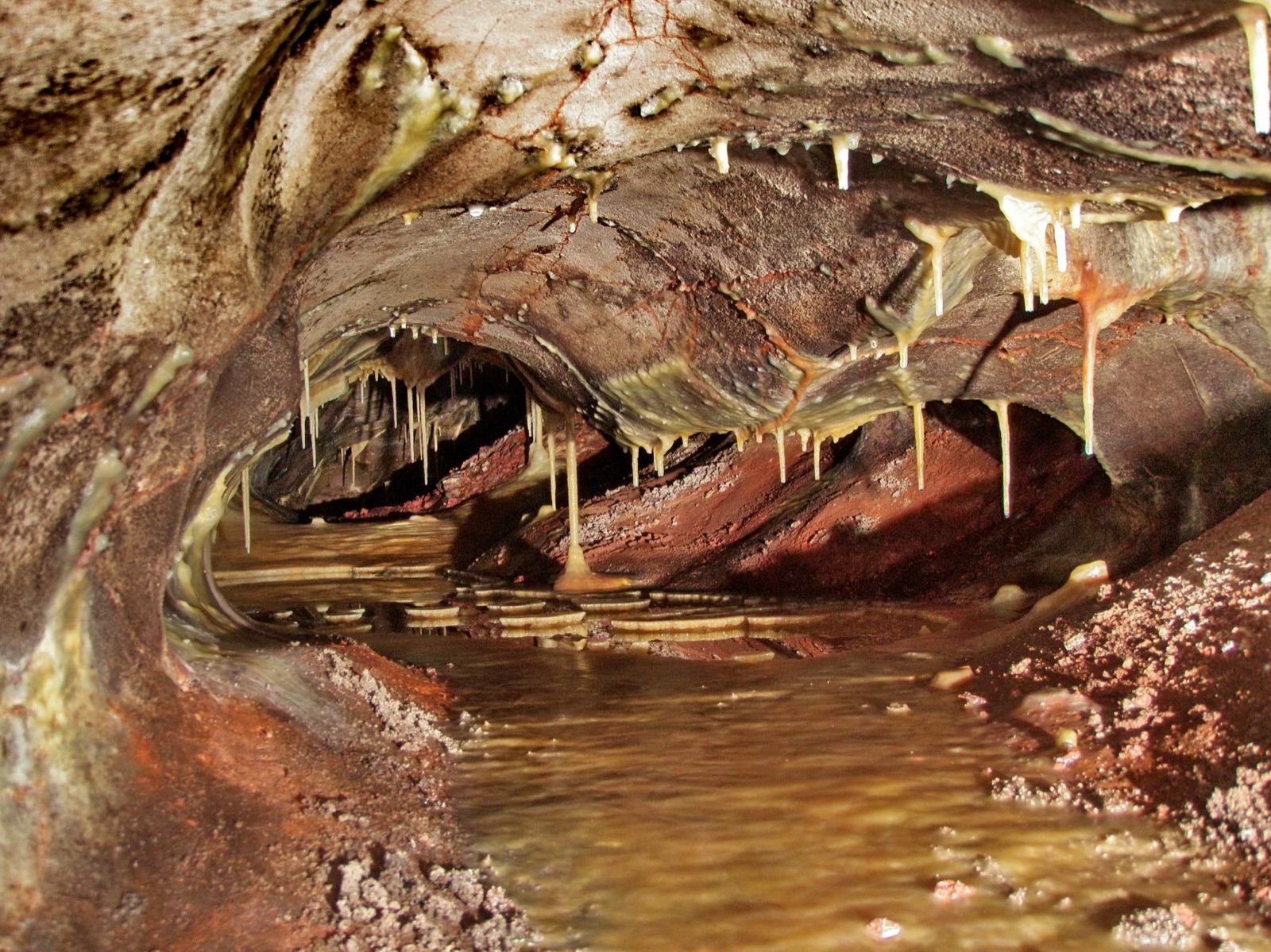 Stalactites at Skyway Lake, Wind Cave