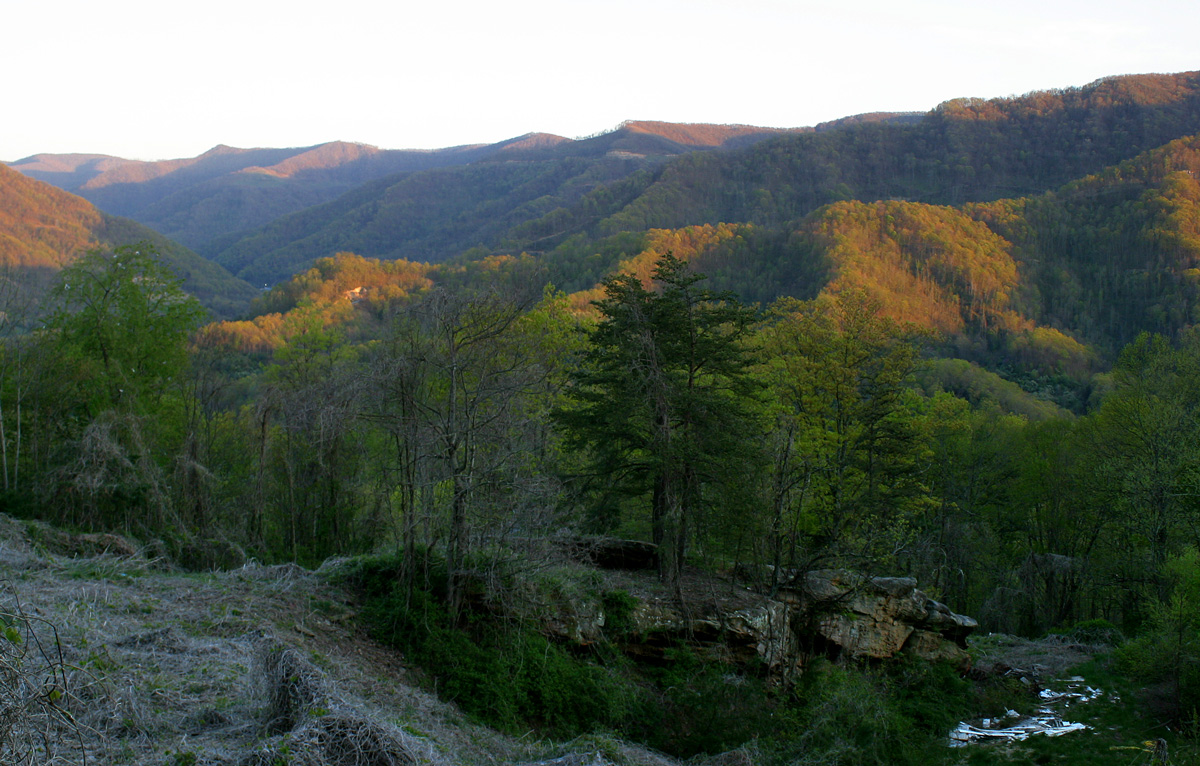 The forested Kentucky side of Black Mountain, the highest peak in Kentucky, rising along the Kentucky-Virginia border near US-23.