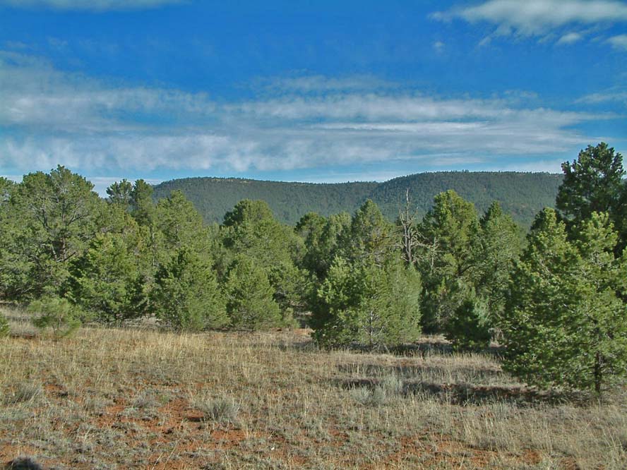 Ponderosa pine-forested hills frame the wooded saddle of Glorieta Pass in northern New Mexico, the 7,500-foot crossing carried by Interstate 25.