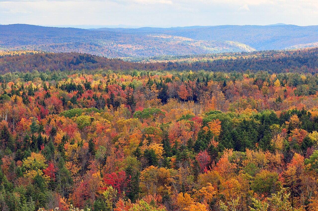 Autumn foliage spread across the Green Mountains as seen from the famous 100-mile lookout atop Hogback Mountain on Vermont's Route 9.